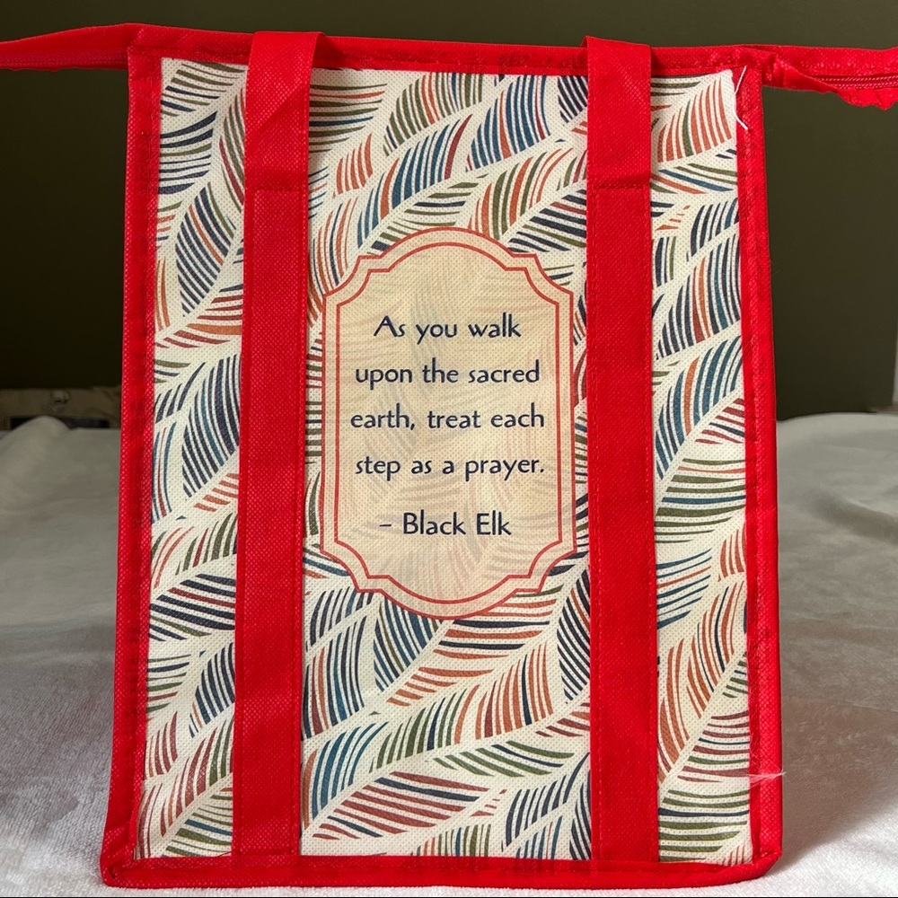 Small Insulated Red Reusable Cooler Bag